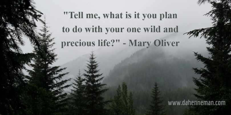 Black and white photo from a mountain with Mary Oliver poem about one wild and precious life.