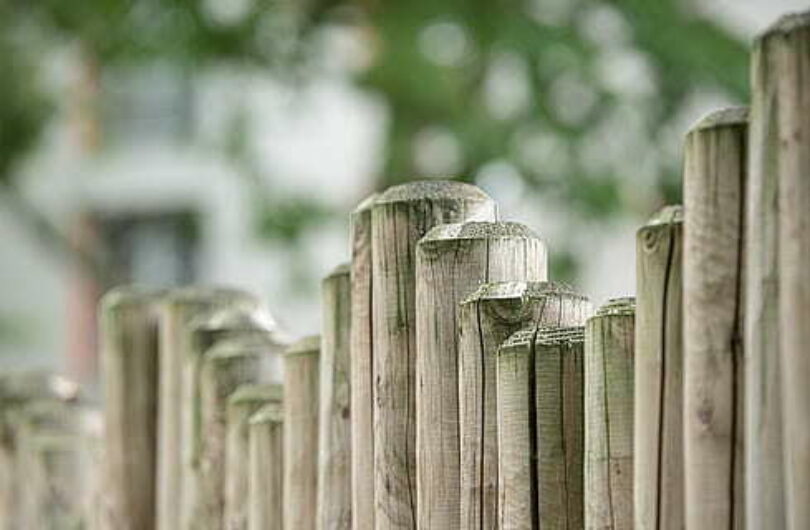 Top of a wooden fence made of round bamboo branches