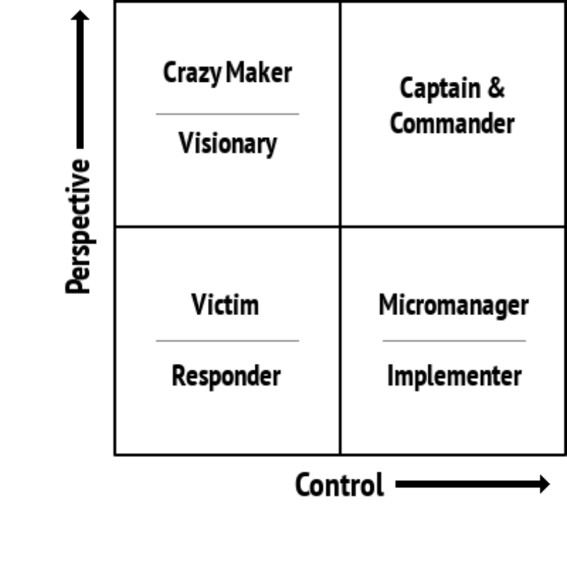 2x2 matrix using two dimensions (perspective, control) to contrast four types of leadership energy